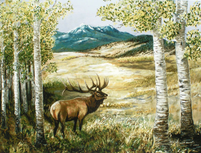 Aspen Elk